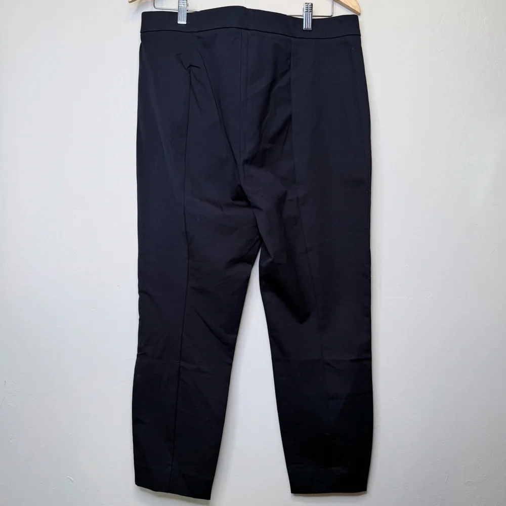 Everlane | NWT The Fixed Waist Flexible Stretch Mid-Plus Size Trouser Pants